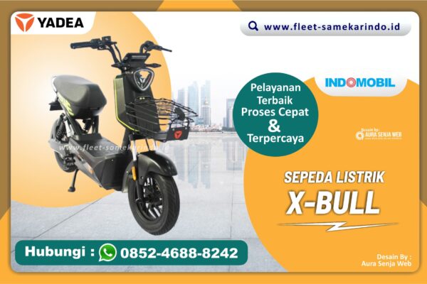 X-BULL
