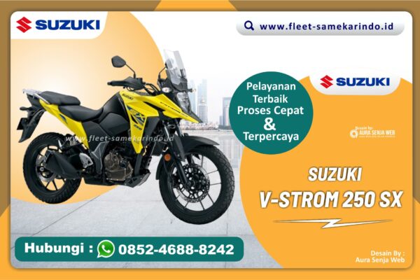 V-STROM 250 SX
